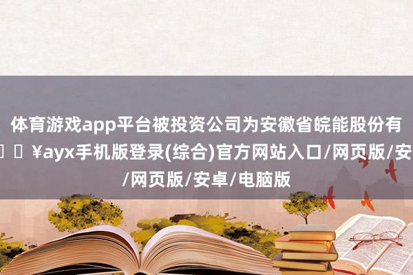 體育游戲app平臺(tái)被投資公司為安徽省皖能股份有限公司-??ayx手機(jī)版登錄(綜合)官方網(wǎng)站入口/網(wǎng)頁(yè)版/安卓/電腦版