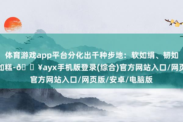 體育游戲app平臺(tái)分化出千種步地：軟如絹、韌如絲、酥如酥、糯如糕-??ayx手機(jī)版登錄(綜合)官方網(wǎng)站入口/網(wǎng)頁(yè)版/安卓/電腦版